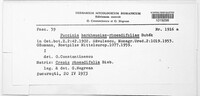 Image Associated With the Occurence